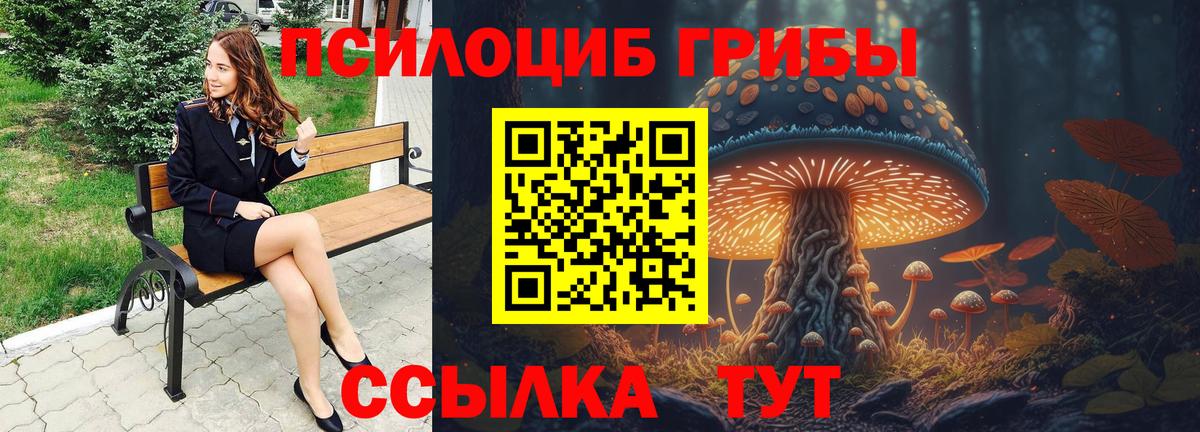 Псилоцибиновые грибы GOLDEN TEACHER Каспийск